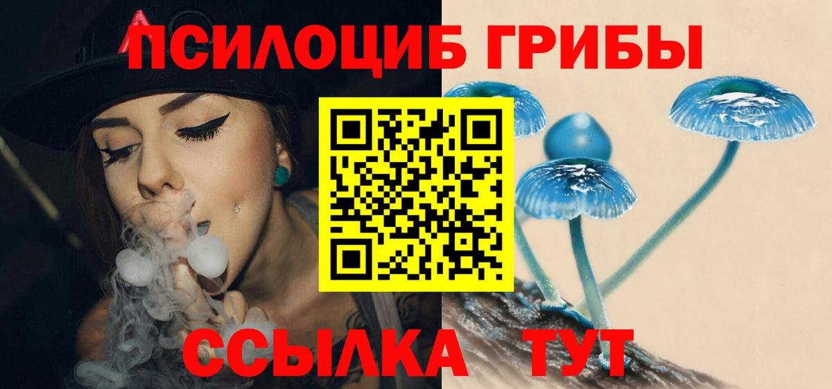 Псилоцибиновые грибы Cubensis Салехард